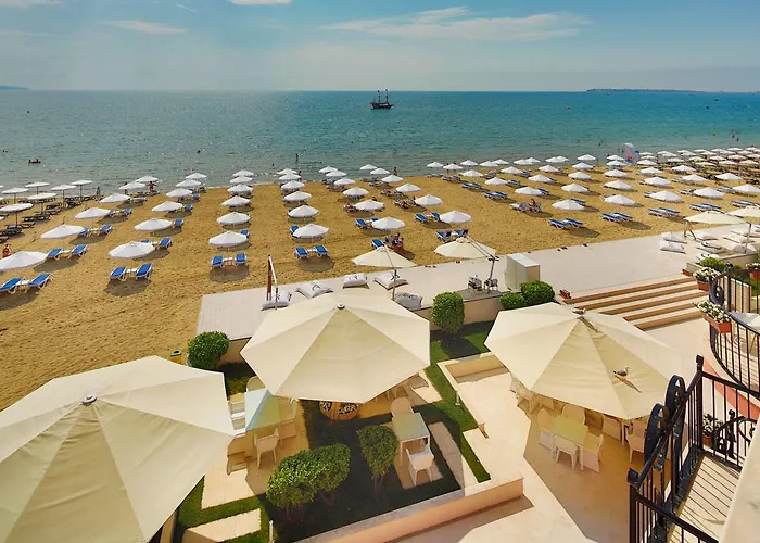 Hotel Dune - Free Access